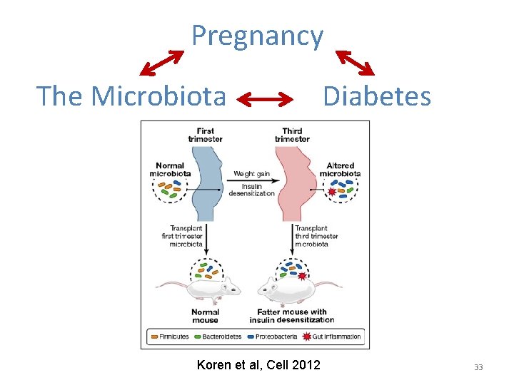 Pregnancy The Microbiota Koren et al, Cell 2012 Diabetes 33 