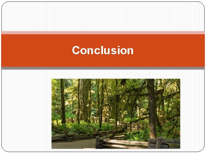 Conclusion 