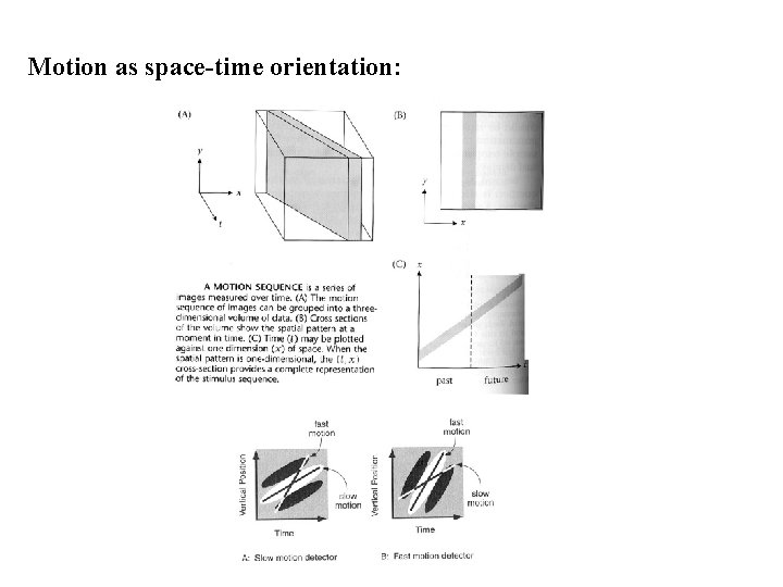 Motion as space-time orientation: 