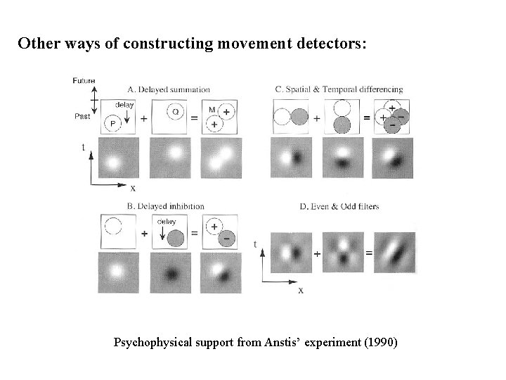 Other ways of constructing movement detectors: Psychophysical support from Anstis’ experiment (1990) 