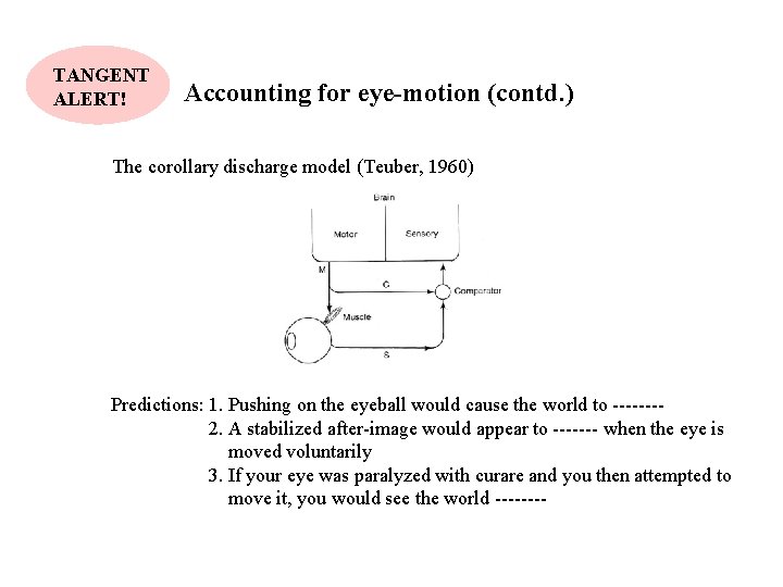 TANGENT ALERT! Accounting for eye-motion (contd. ) The corollary discharge model (Teuber, 1960) Predictions: