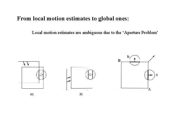 From local motion estimates to global ones: Local motion estimates are ambiguous due to