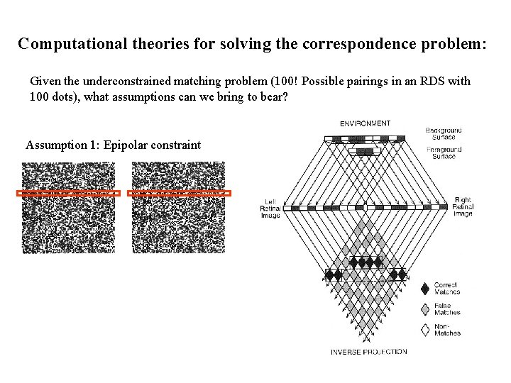 Computational theories for solving the correspondence problem: Given the underconstrained matching problem (100! Possible