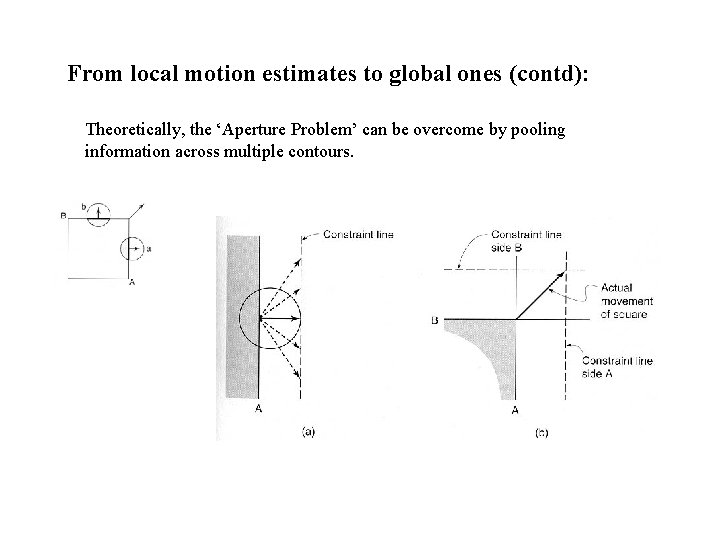 From local motion estimates to global ones (contd): Theoretically, the ‘Aperture Problem’ can be