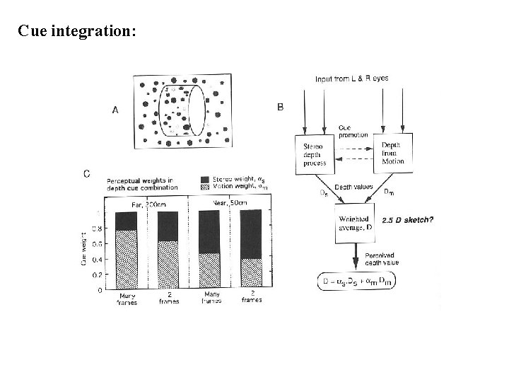 Cue integration: 