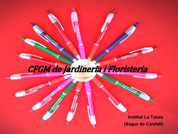 CFGM de Jardineria i Floristeria Institut La Talaia (Segur de Calafell) 