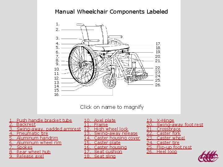 Manual Wheelchair Components Labeled 1. 2. 3. 4. 5. 6. 7. 8. 9. 10.