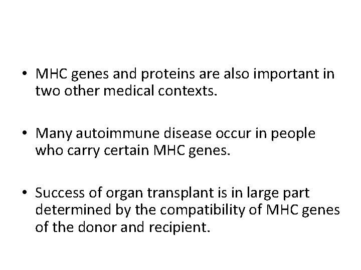  • MHC genes and proteins are also important in two other medical contexts.