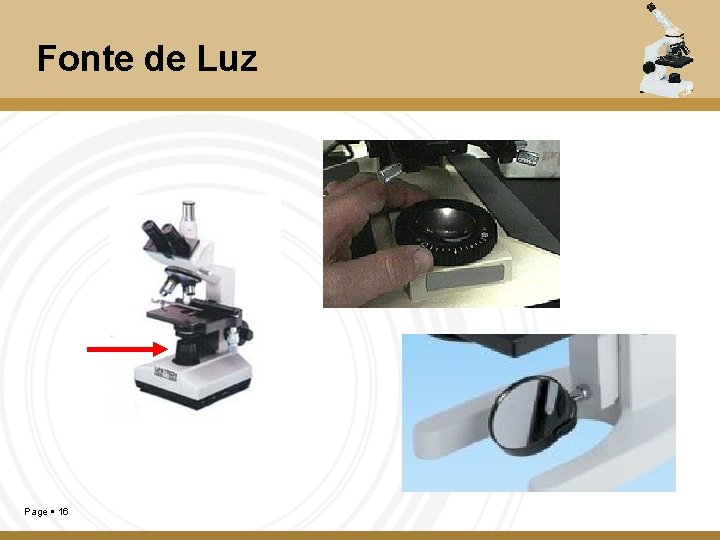 O Microscpio ptico Composto Professora Liliana Guerreiro A