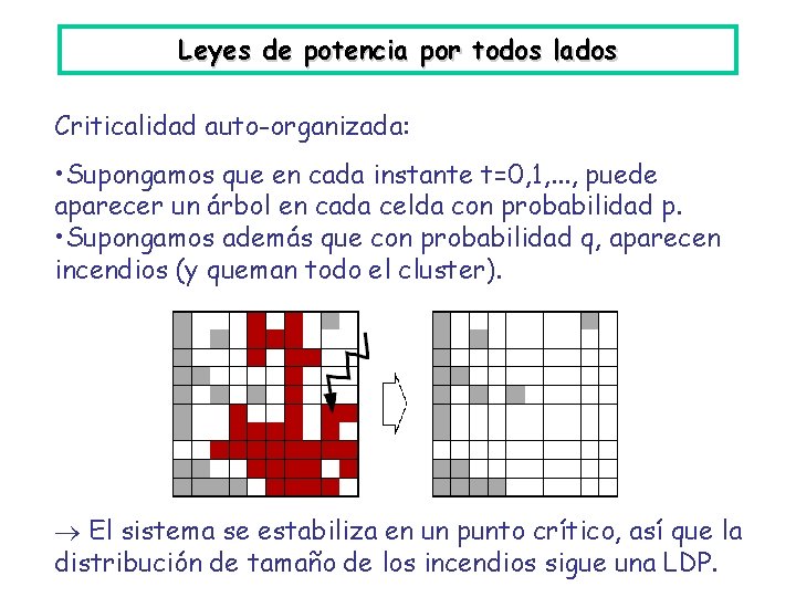 Leyes de potencia por todos lados Criticalidad auto-organizada: • Supongamos que en cada instante