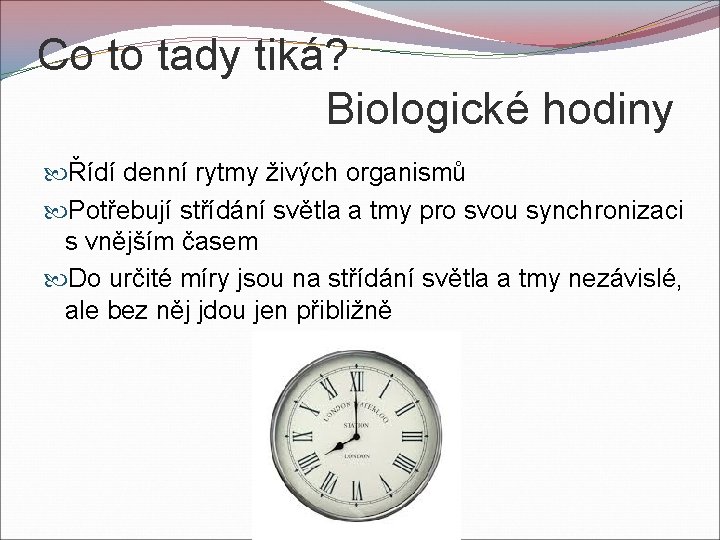 Co to tady tiká? Biologické hodiny Řídí denní rytmy živých organismů Potřebují střídání světla