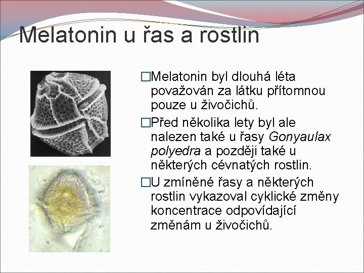 Melatonin u řas a rostlin �Melatonin byl dlouhá léta považován za látku přítomnou pouze