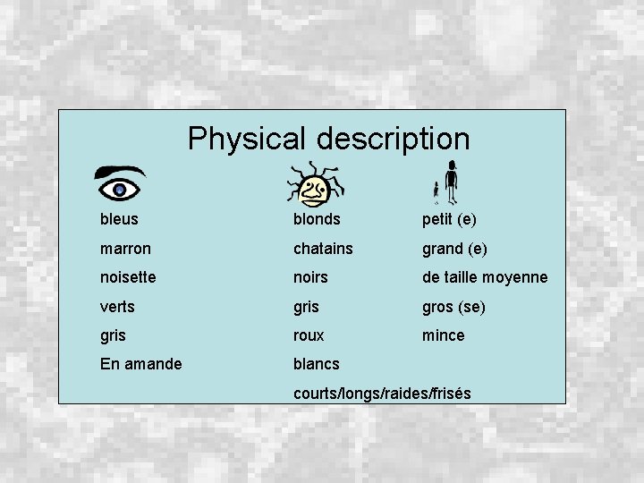 Physical description bleus blonds petit (e) marron chatains grand (e) noisette noirs de taille