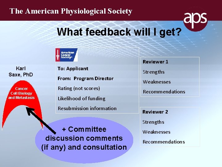 The American Physiological Society What feedback will I get? Karl Saxe, Ph. D Cancer