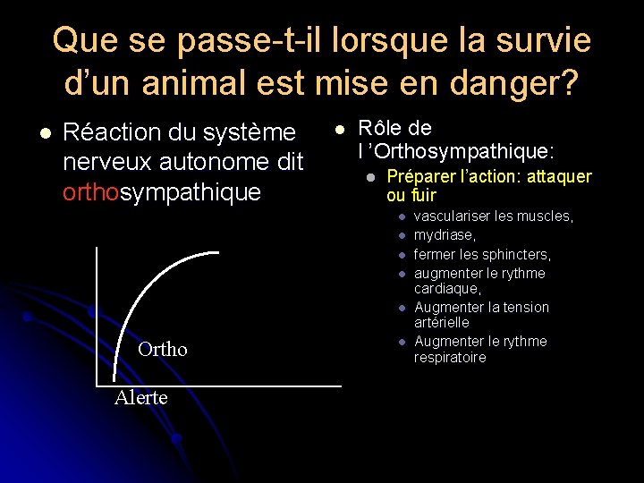 Que se passe-t-il lorsque la survie d’un animal est mise en danger? l Réaction