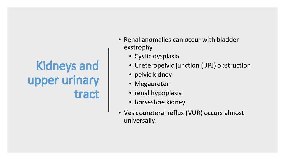Kidneys and upper urinary tract • Renal anomalies can occur with bladder exstrophy •