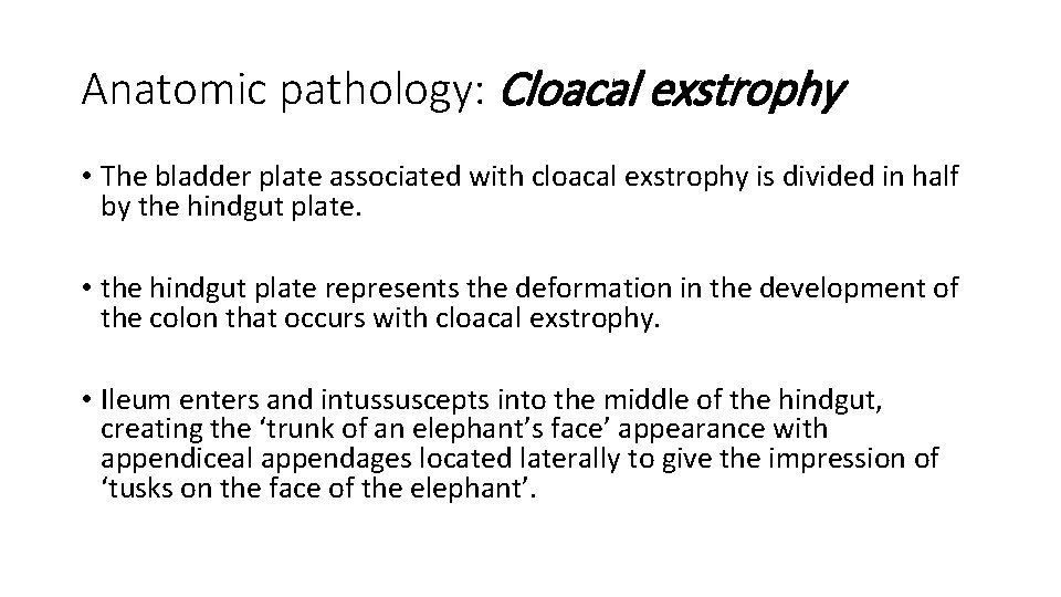 Anatomic pathology: Cloacal exstrophy • The bladder plate associated with cloacal exstrophy is divided