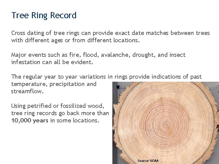 Tree Ring Record Cross dating of tree rings can provide exact date matches between