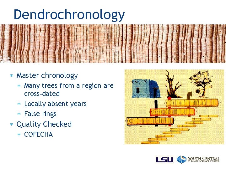 Dendrochronology Master chronology Many trees from a region are cross-dated Locally absent years False