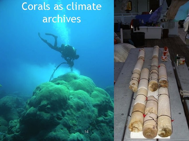Corals as climate archives 14 