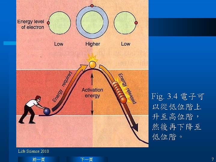 The Chemistry of Life Life Science 2010 CHNOPS