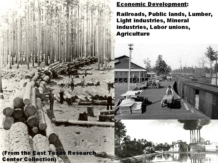 Economic Development: Railroads, Public lands, Lumber, Light industries, Mineral industries, Labor unions, Agriculture (From