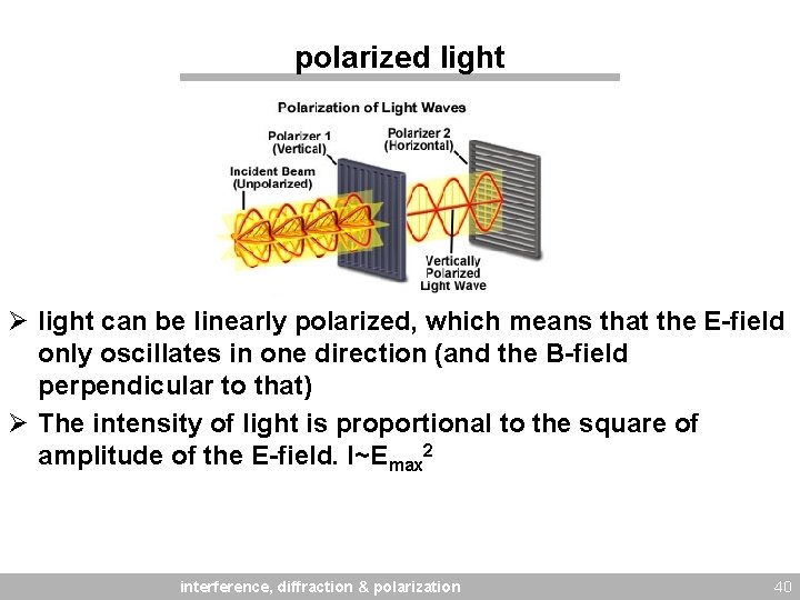 polarized light Ø light can be linearly polarized, which means that the E-field only