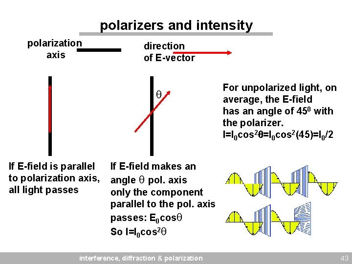 polarizers and intensity polarization axis direction of E-vector If E-field is parallel to polarization