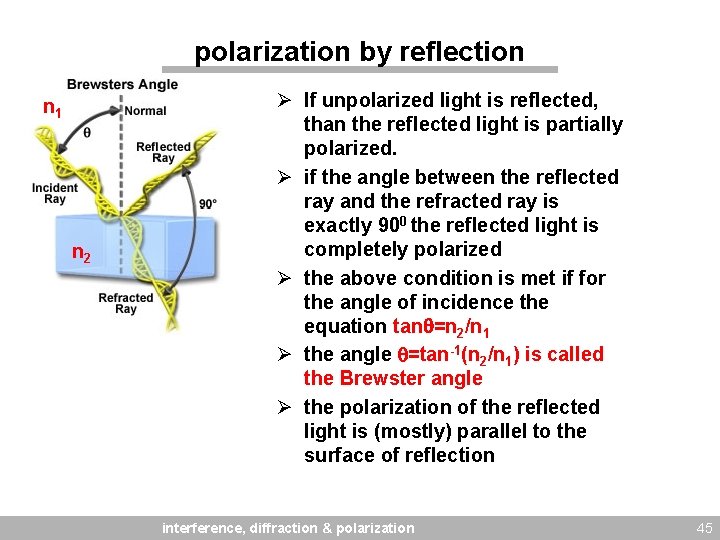 polarization by reflection n 1 n 2 Ø If unpolarized light is reflected, than