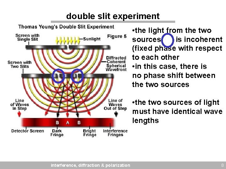 double slit experiment • the light from the two sources is incoherent (fixed phase