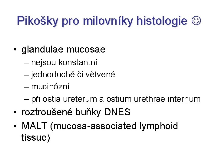 Pikošky pro milovníky histologie • glandulae mucosae – nejsou konstantní – jednoduché či větvené