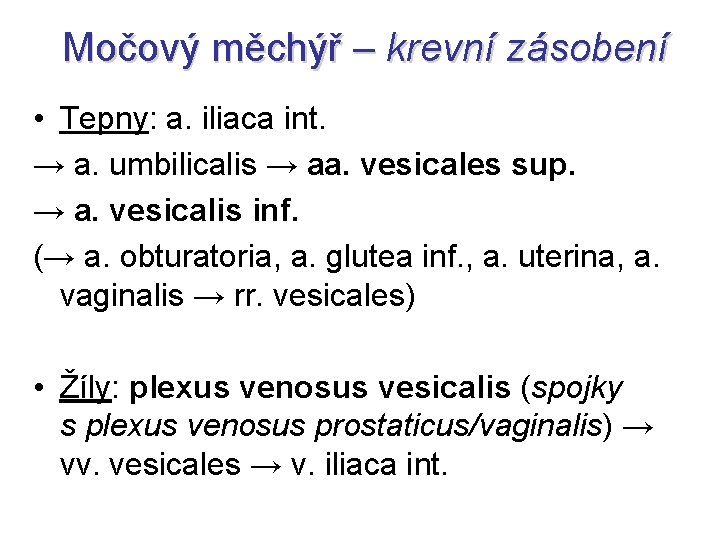 Močový měchýř – krevní zásobení • Tepny: a. iliaca int. → a. umbilicalis →