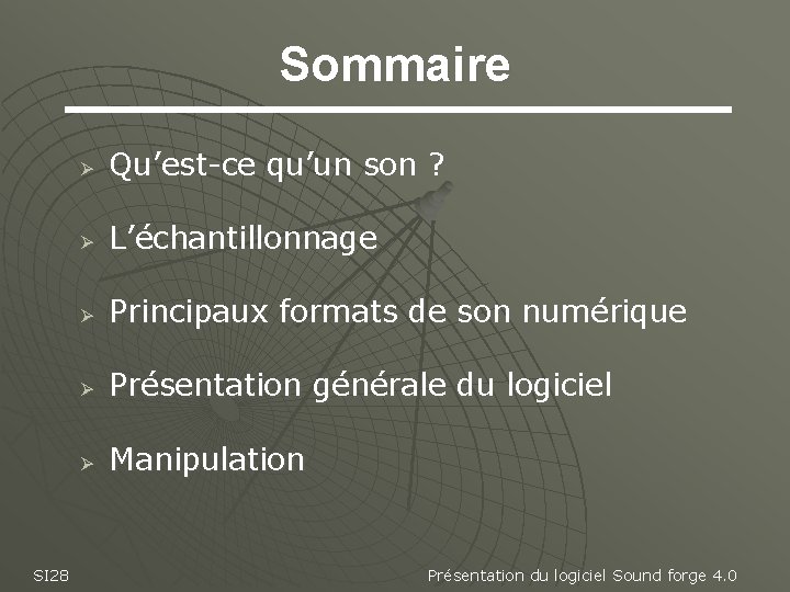 Sommaire SI 28 Ø Qu’est-ce qu’un son ? Ø L’échantillonnage Ø Principaux formats de