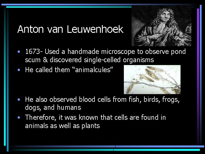 Anton van Leuwenhoek • 1673 - Used a handmade microscope to observe pond scum