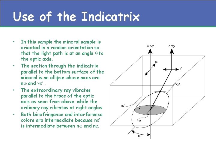 Use of the Indicatrix • • In this sample the mineral sample is oriented