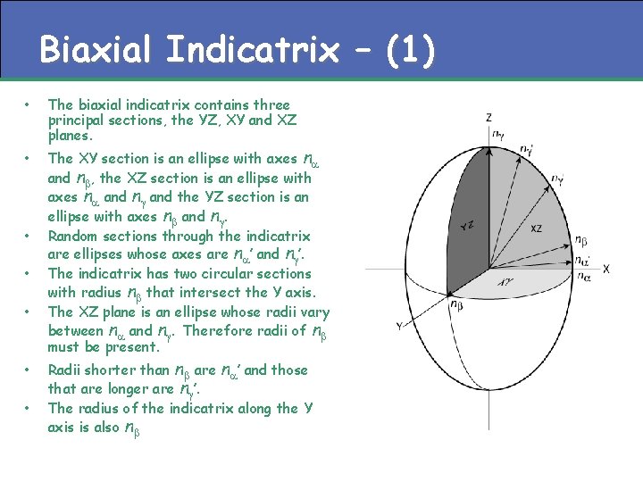 Biaxial Indicatrix – (1) • • The biaxial indicatrix contains three principal sections, the