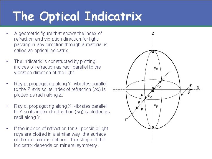 The Optical Indicatrix • A geometric figure that shows the index of refraction and