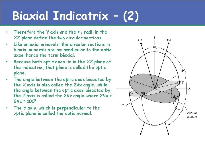 Biaxial Indicatrix – (2) • • • Therefore the Y axis and the nb