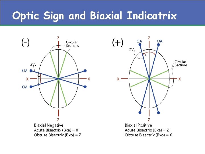 Optic Sign and Biaxial Indicatrix 