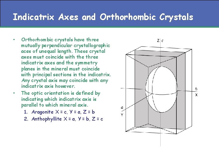 Indicatrix Axes and Orthorhombic Crystals • • Orthorhombic crystals have three mutually perpendicular crystallographic