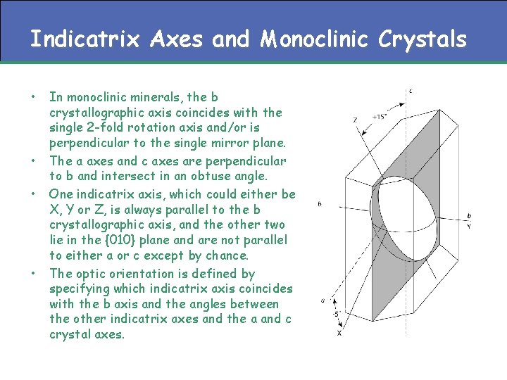 Indicatrix Axes and Monoclinic Crystals • • In monoclinic minerals, the b crystallographic axis