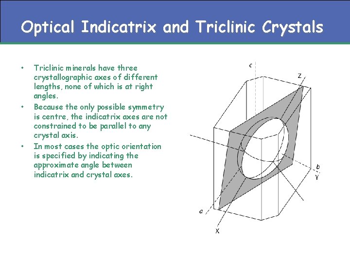 Optical Indicatrix and Triclinic Crystals • • • Triclinic minerals have three crystallographic axes