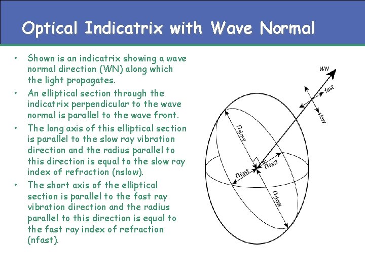 Optical Indicatrix with Wave Normal • • Shown is an indicatrix showing a wave