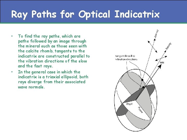 Ray Paths for Optical Indicatrix • • To find the ray paths, which are