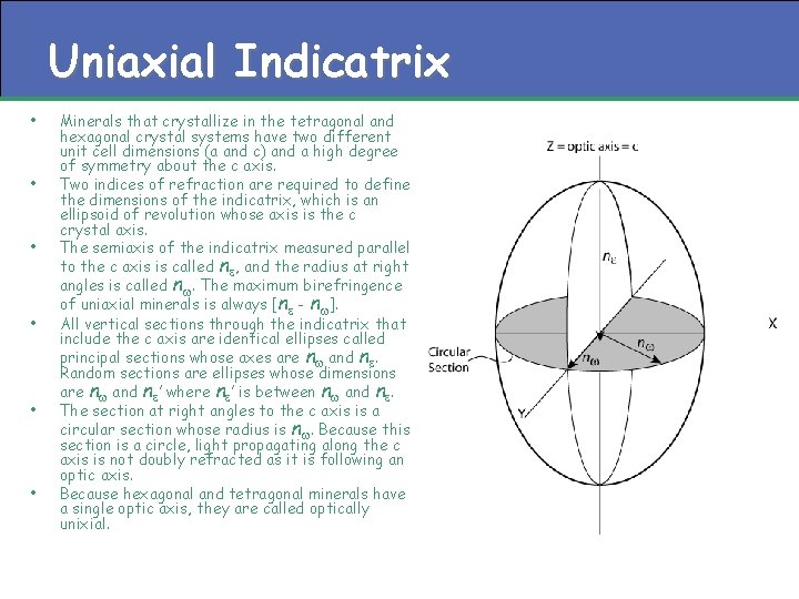 Uniaxial Indicatrix • • • Minerals that crystallize in the tetragonal and hexagonal crystal