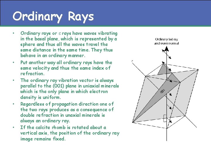 Ordinary Rays • • • Ordinary rays or e rays have waves vibrating in