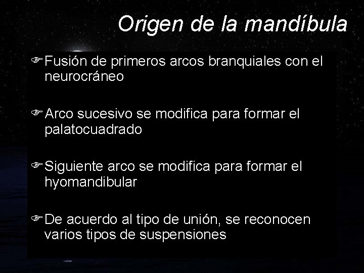 Origen de la mandíbula FFusión de primeros arcos branquiales con el neurocráneo FArco sucesivo