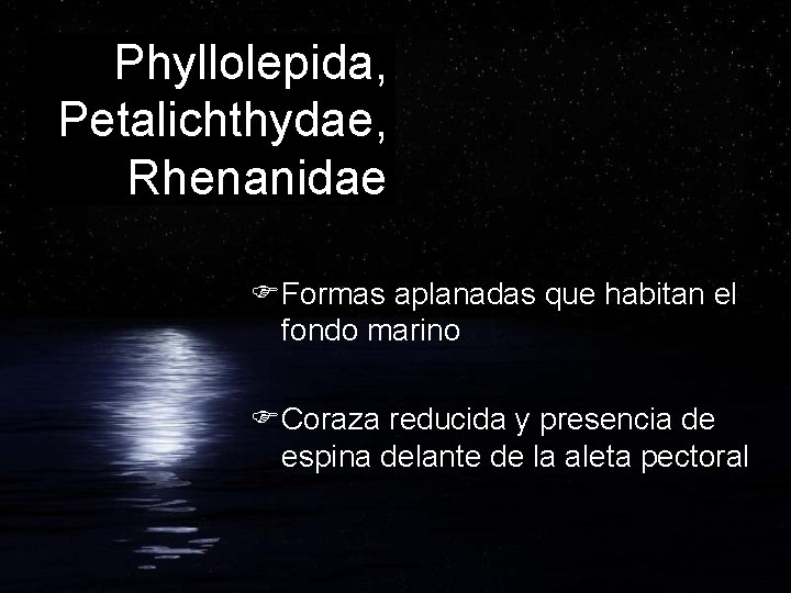 Phyllolepida, Petalichthydae, Rhenanidae FFormas aplanadas que habitan el fondo marino FCoraza reducida y presencia