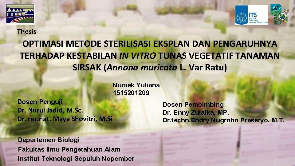 Thesis OPTIMASI METODE STERILISASI EKSPLAN DAN PENGARUHNYA TERHADAP KESTABILAN IN VITRO TUNAS VEGETATIF TANAMAN