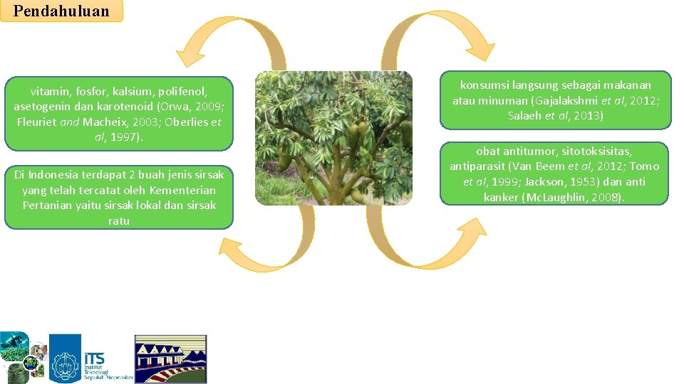 Pendahuluan vitamin, fosfor, kalsium, polifenol, asetogenin dan karotenoid (Orwa, 2009; Fleuriet and Macheix, 2003;